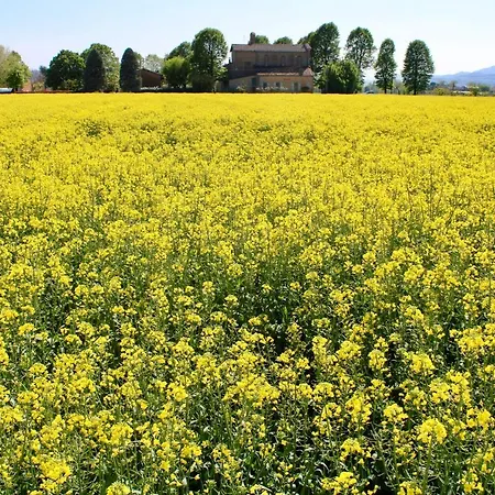 Ravaglia Grande Castel Guelfo Di Bologna