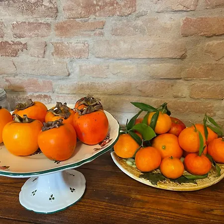 Venkovský dům Ravaglia Grande Castel Guelfo Di Bologna