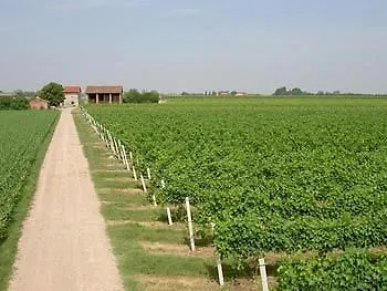 Ravaglia Grande Landsted Castel Guelfo Di Bologna