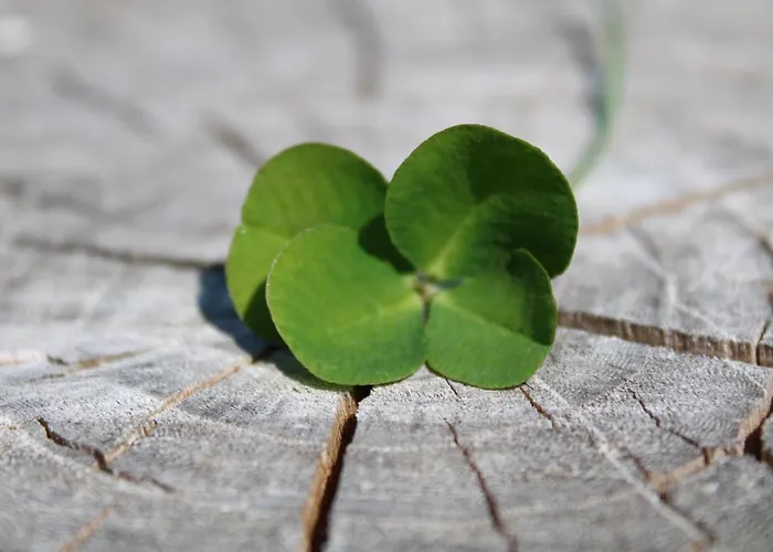 Ravaglia Grande Country house