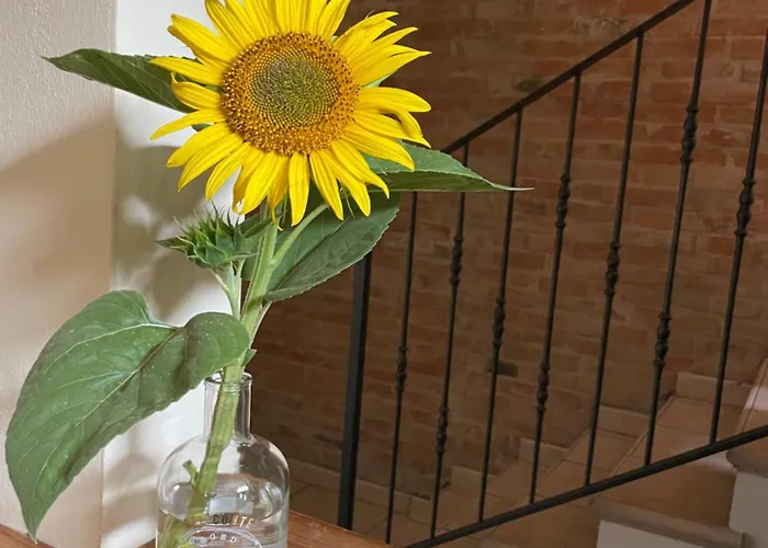 Ravaglia Grande * Castel Guelfo Di Bologna