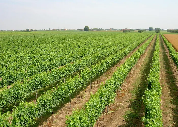 Ravaglia Grande Country house Castel Guelfo Di Bologna