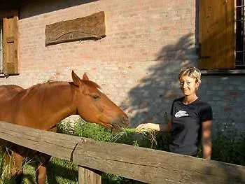 Ravaglia Grande Country house *