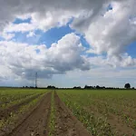 Ravaglia Grande Landsted Castel Guelfo Di Bologna