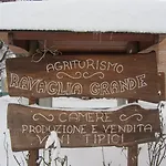 Ravaglia Grande Landsted *