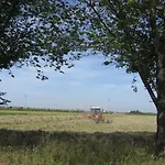 Landsted Ravaglia Grande