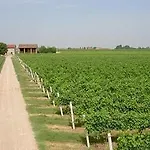 Ravaglia Grande Landsted Castel Guelfo Di Bologna