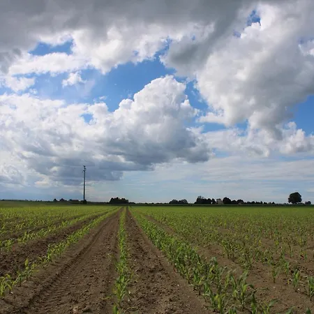 Ravaglia Grande Εξοχικό σπίτι Castel Guelfo Di Bologna