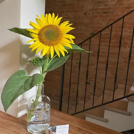 Ravaglia Grande * Castel Guelfo Di Bologna