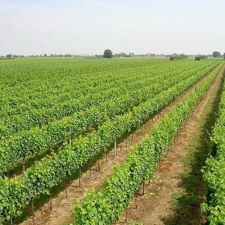 Ravaglia Grande منزل ريفي Castel Guelfo Di Bologna