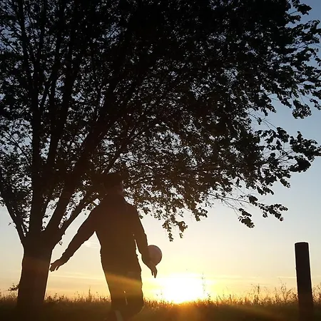 Ravaglia Grande Castel Guelfo Di Bologna