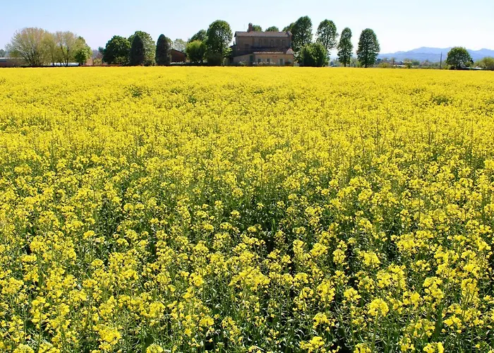 Ravaglia Grande Castel Guelfo Di Bologna