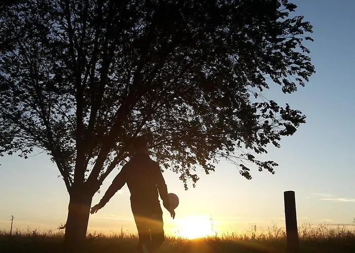 Ravaglia Grande Castel Guelfo Di Bologna